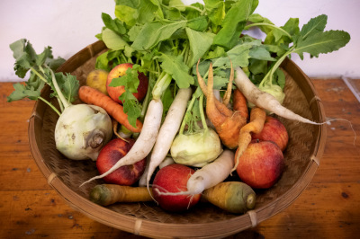 08_Kikeriki_2022_c_dotdotdot