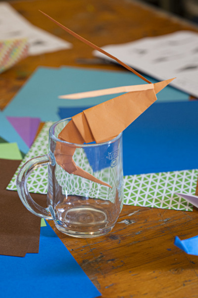 31_Kikeriki_2022_c_dotdotdot