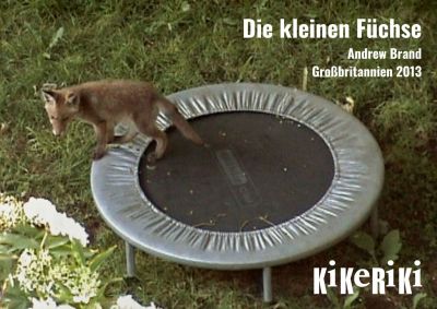 Kikeriki Filmstills (A4) - 13